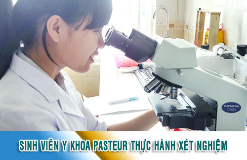 Sinh viên Y Khoa Pasteur thực hành xét nghiệm